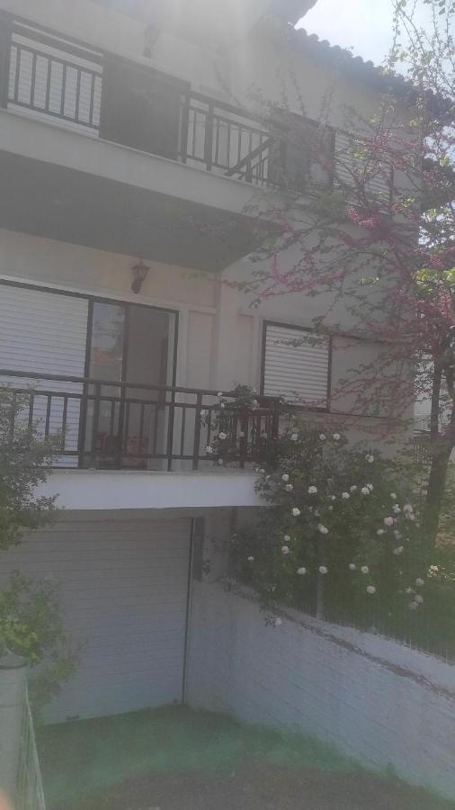Iris Apartman Pefkohóri Szoba fotó